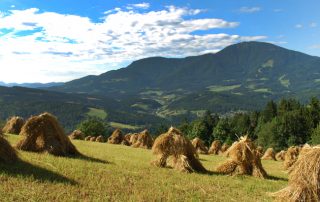 Foto: Sebastjan Oblak