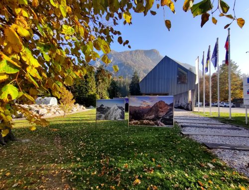Museum opening hours in November